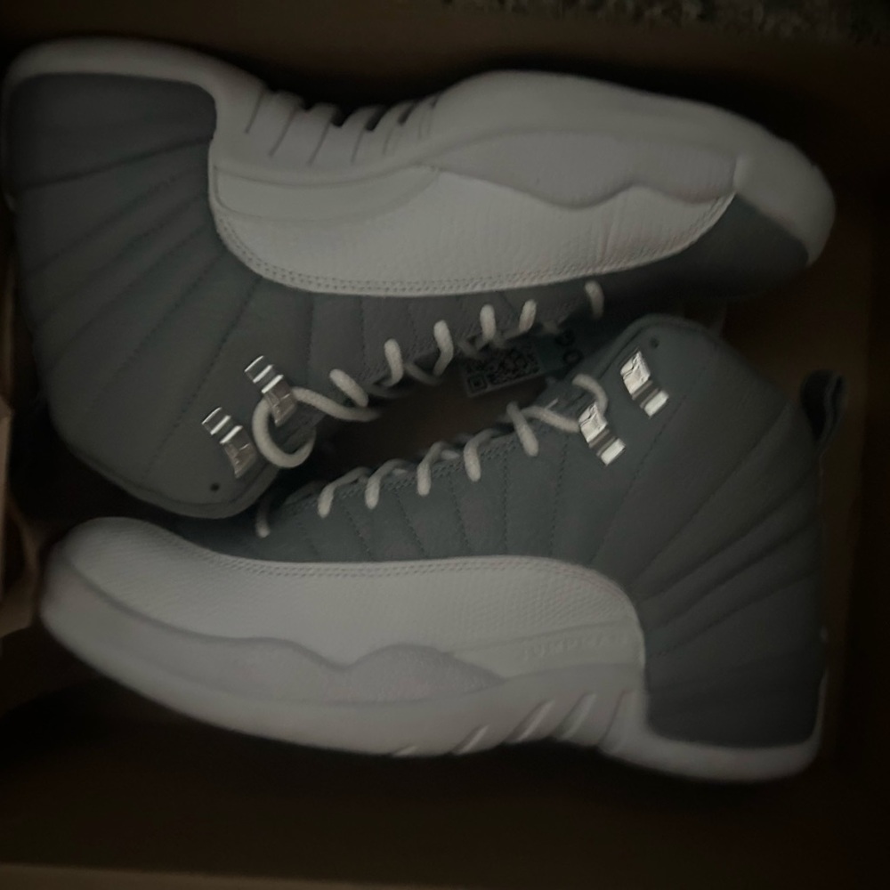 Jordan 12 stealth Sz 8 used